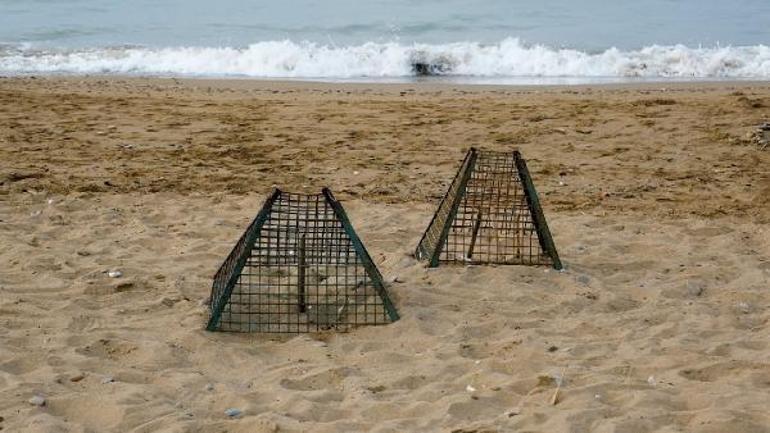 Deniz kaplumbağaları için korumaya alınan yuva sayısı, 2 bin 551e ulaştı