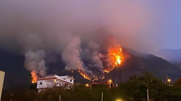 Tenerife orman yangınlarında 13 bin kişi tahliye edildi