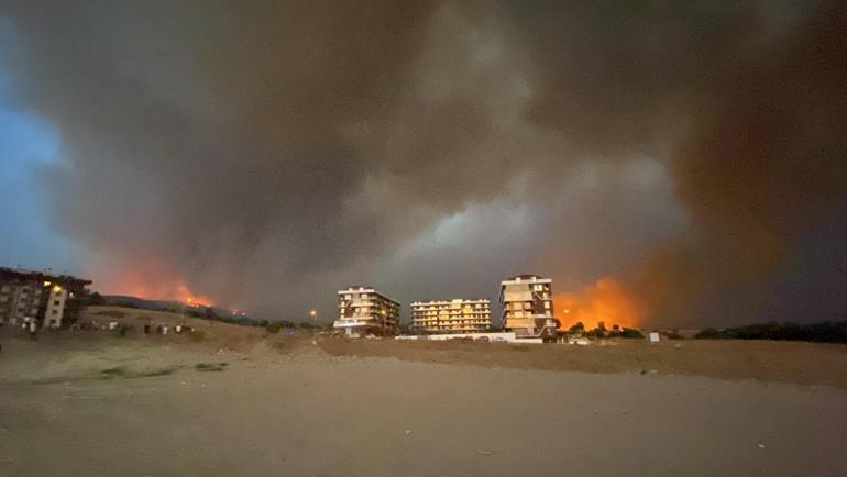 Çanakkalede orman yangını