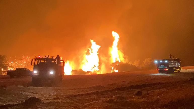 Çanakkalede orman yangını