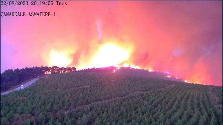 Çanakkalede orman yangını