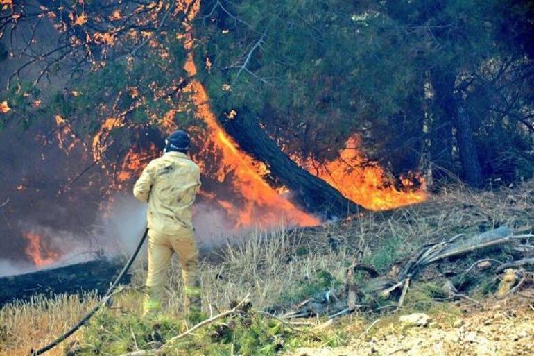 Çanakkaledeki orman yangınında mücadele sürüyor