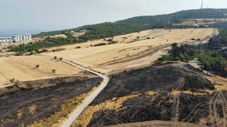 Çanakkaledeki orman yangınında mücadele sürüyor