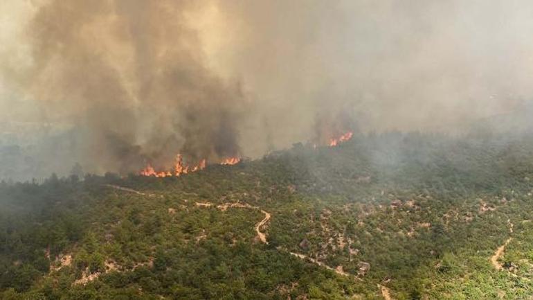 Çanakkaledeki orman yangınında mücadele sürüyor
