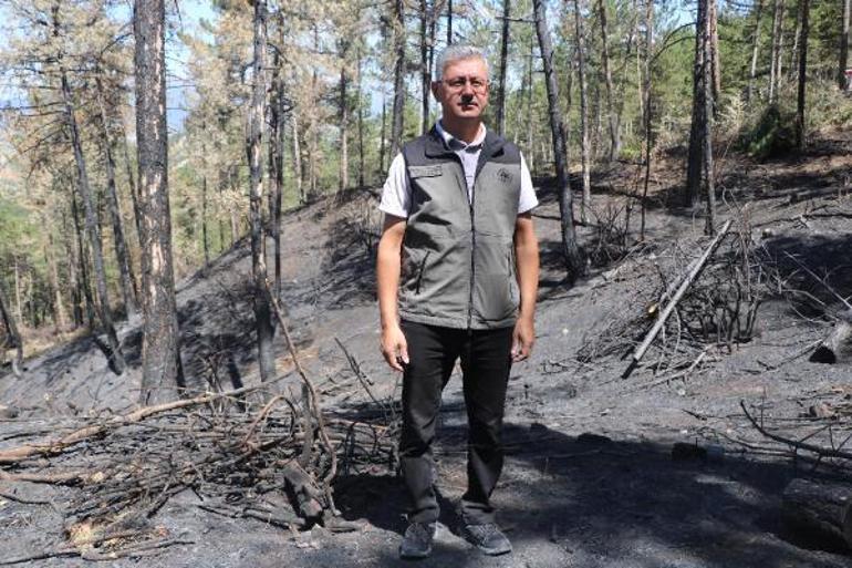 Boluda, bu yıl orman yangınlarında 150 hektar alan zarar gördü