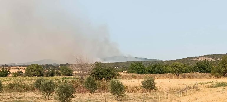 Çanakkaledeki orman yangınında mücadele sürüyor