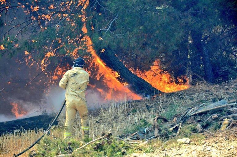 Çanakkaledeki orman yangını 3üncü günde kontrol altında