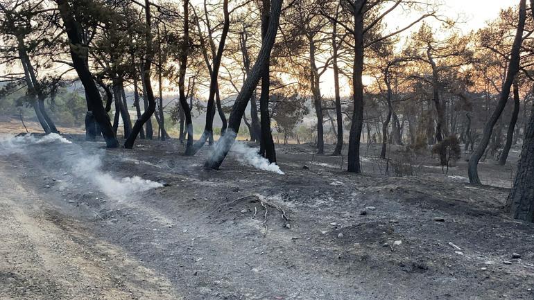 Çanakkaledeki orman yangını 3üncü günde kontrol altında