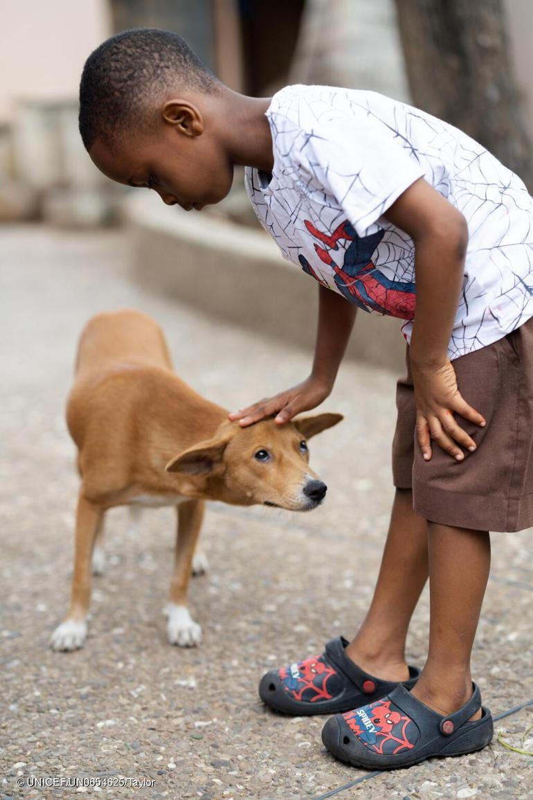 AB Sivil Koruma kurumundan Uluslararası Köpek Günü’nde anlamlı mesaj