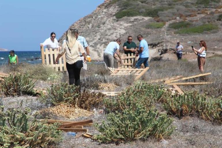 Kum zambakları, çitlerle çevrilerek koruma altına alındı