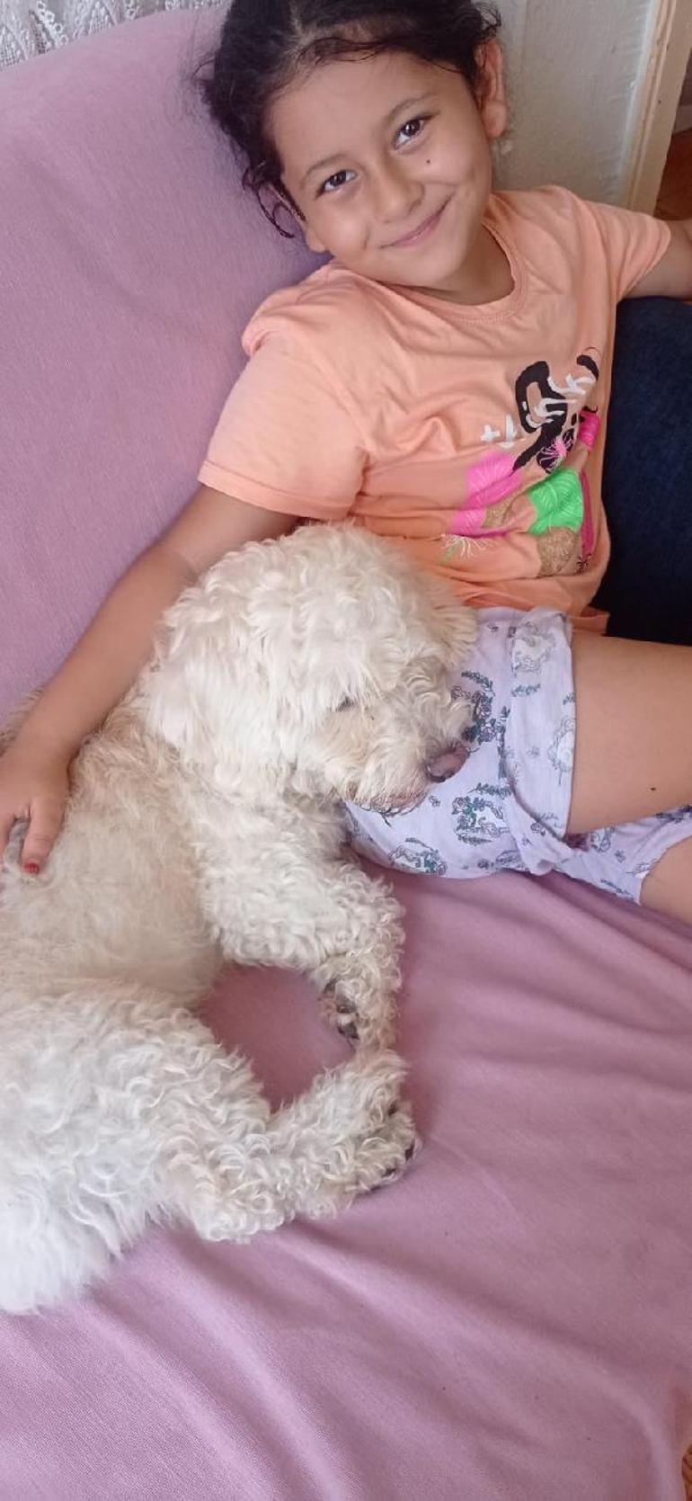 7 yaşındaki Hifanın çalınan köpeği Çıtır, bulundu