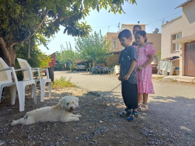 7 yaşındaki Hifanın çalınan köpeği Çıtır, bulundu