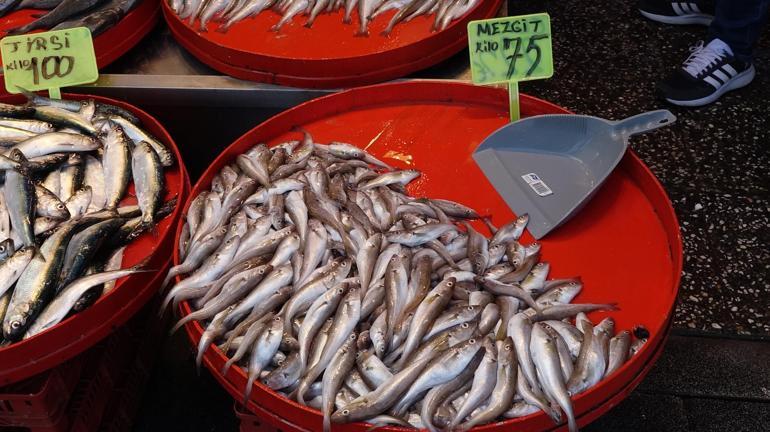 Balık avı başladı, istavritin fiyatı yarıya düştü