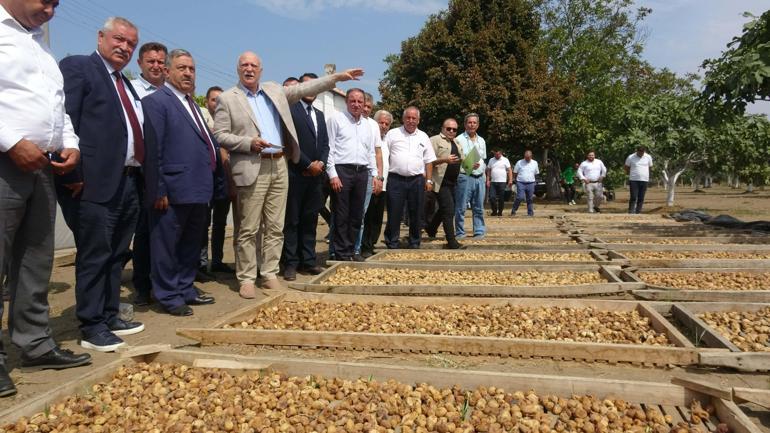TZOB Genel Başkanı Bayraktar: Türkiye, dünyada en fazla incir ihracatı yapan ülke konumunda