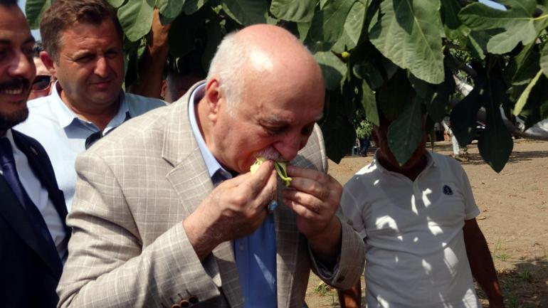 TZOB Genel Başkanı Bayraktar: Türkiye, dünyada en fazla incir ihracatı yapan ülke konumunda