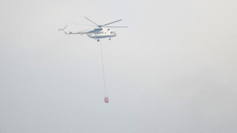 Bursada orman yangını