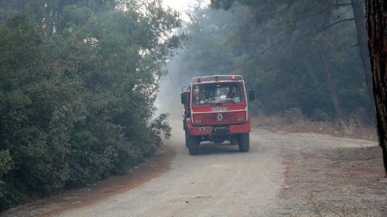 Bursada orman yangını