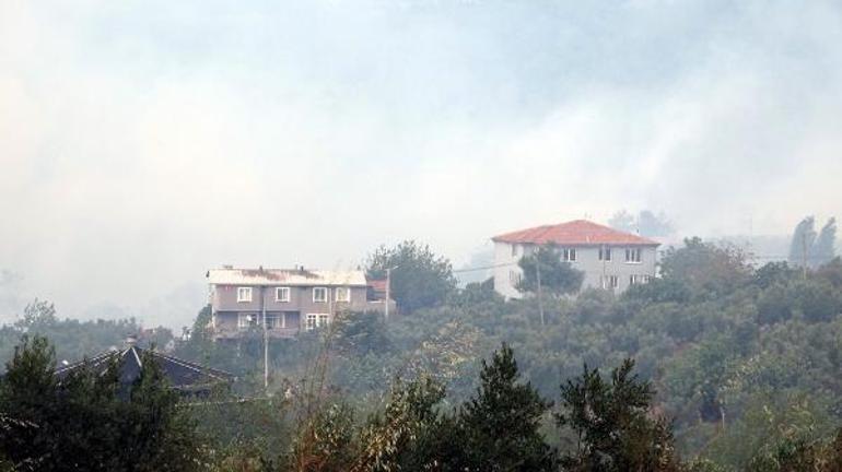 Bursada orman yangını