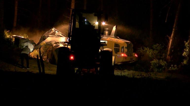 Bursada orman yangını