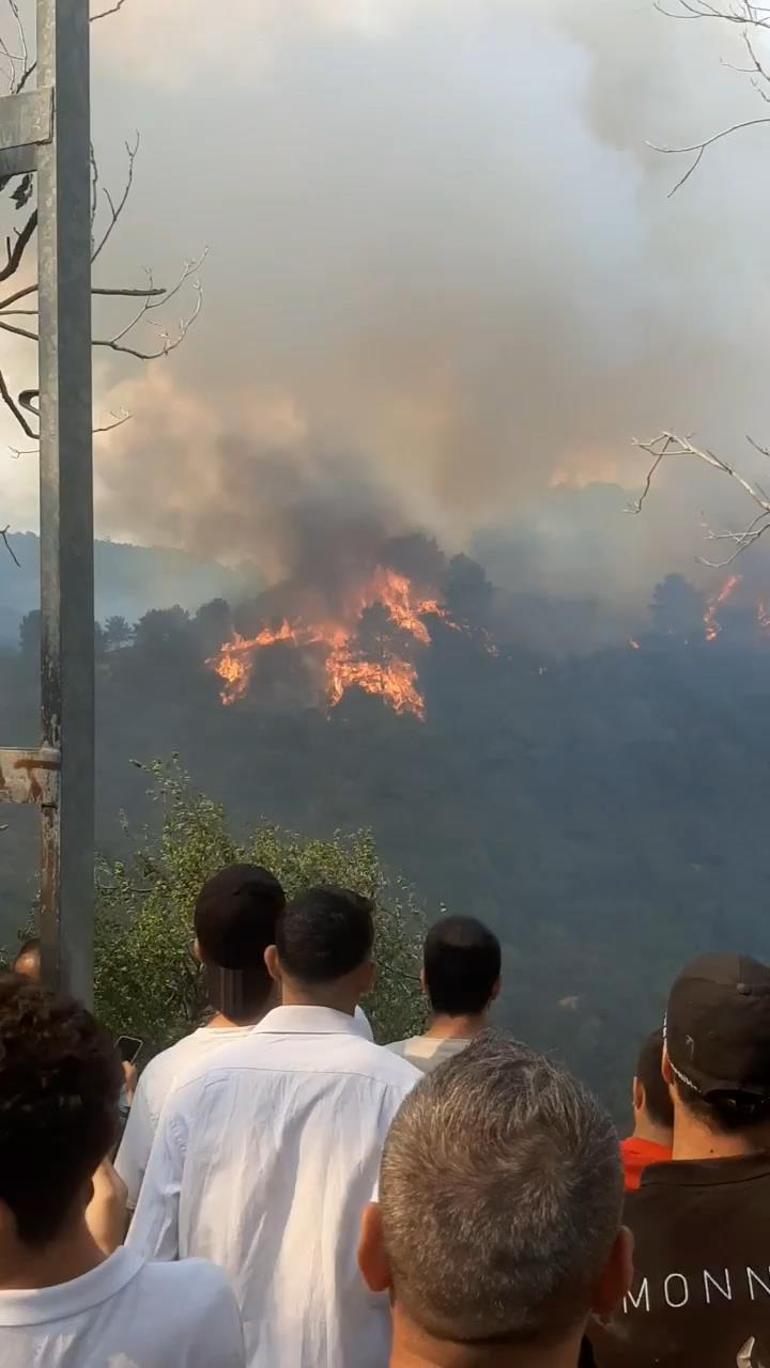 Sultangazi Kent Ormanında yangın