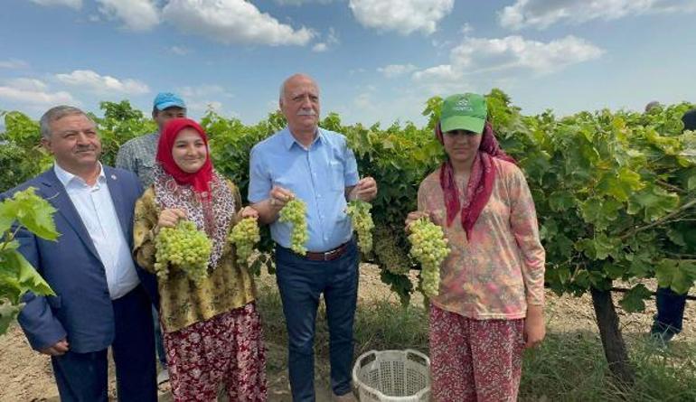 Bayraktar: Türkiye, dünyada kuru üzüm üretiminde 1inci sırada
