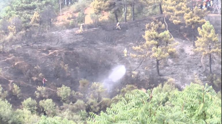 Sultangazi kent ormanında çıkan yangında sabotaj iddiası