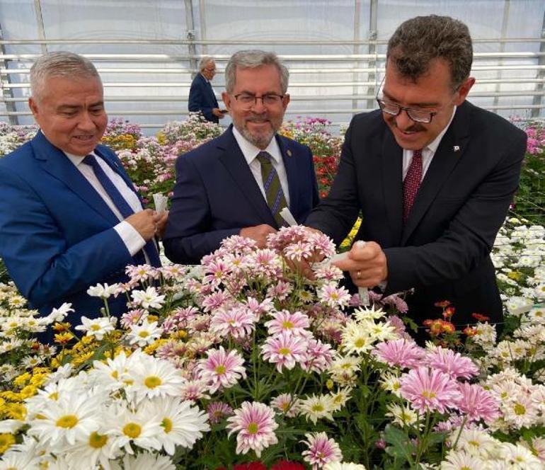 Çiçekte dışa bağımlılığı azaltacak proje