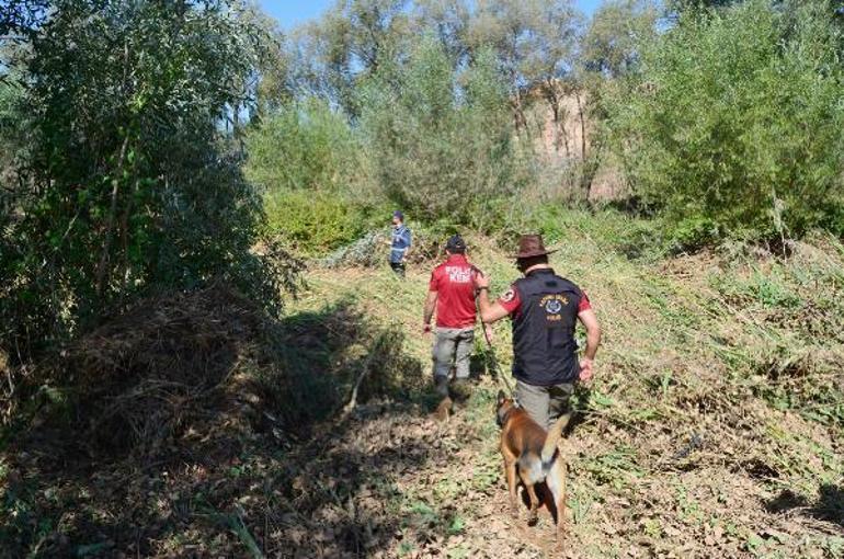 Selde kaybolan Aseli kadavra köpekleri arıyor