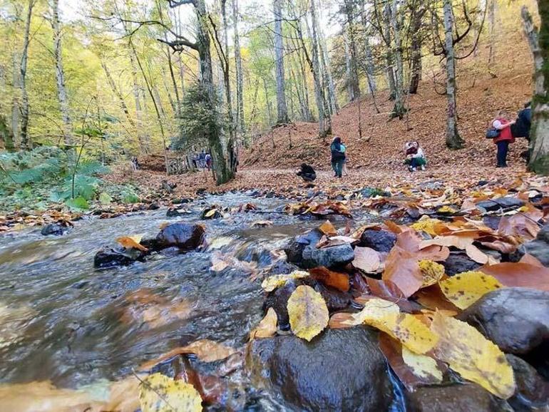 Bolu’nun doğal güzelliklerini yaz mevsiminde 430 bin kişi ziyaret etti