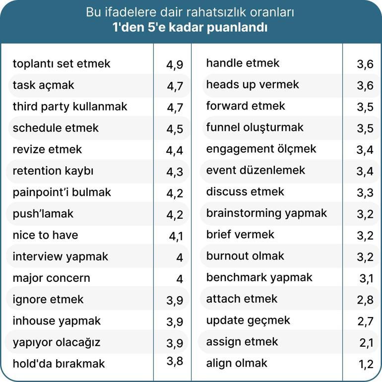 Online dil öğrenme platformundan ‘Plaza Türkçesi’ araştırması