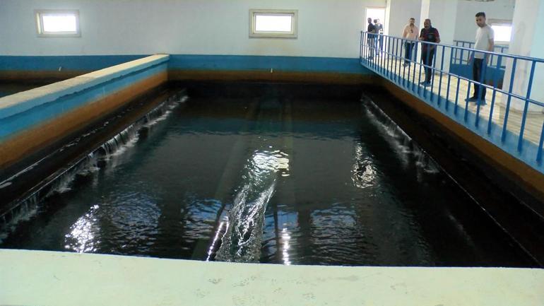 DİSKİ Genel Müdürü Tutşi: Diyarbakır’da 1 ayda 669 bin metreküp su tasarrufu yapıldı