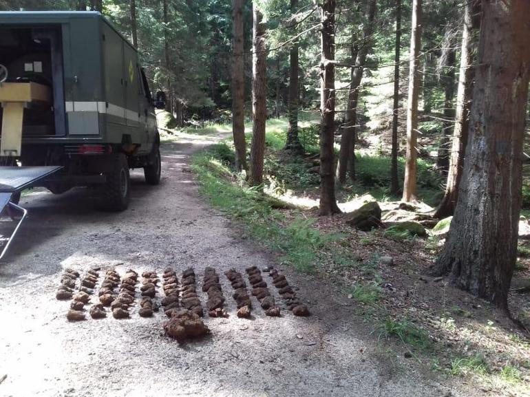 Polonya’da 2. Dünya Savaşı’ndan kalan patlamamış 1300 mühimmat ele geçirildi