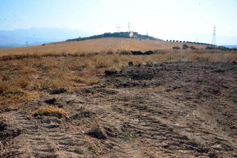 Kahramanmaraşta, üniversite öğrencileri Kırgız çadırlarında kalacak