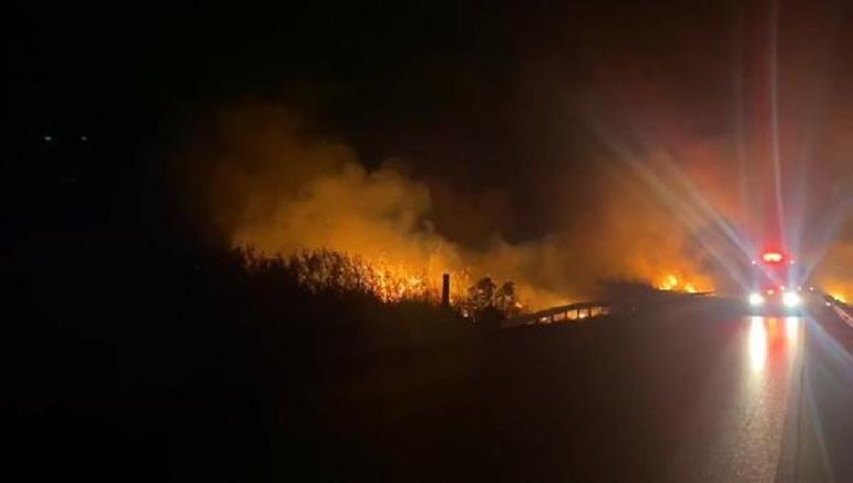 Bursa-Balıkesir Karayolunda TIRda çıkan yangın sazlık alana sıçradı