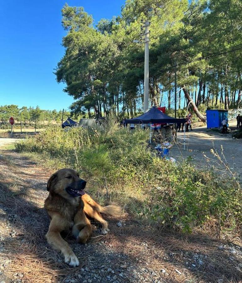 Akbelende konteyner ve çadırlar kaldırıldı