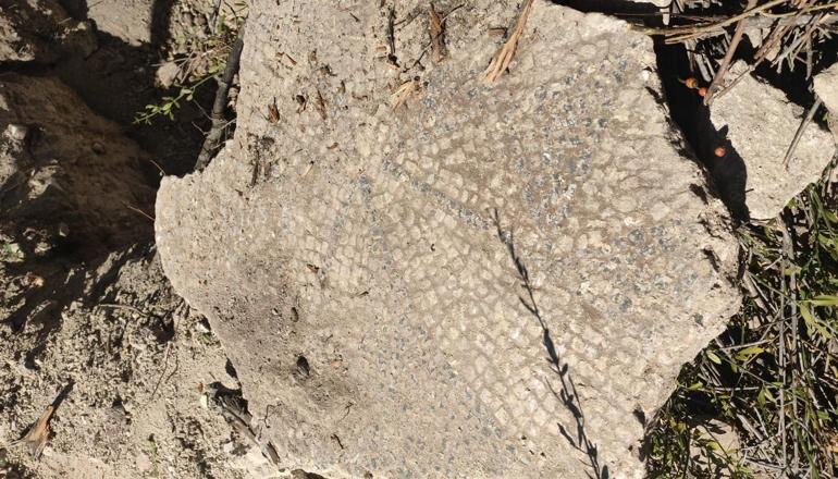 Ekskavatörle kaçak kazı yapan 11 kişiye suçüstü