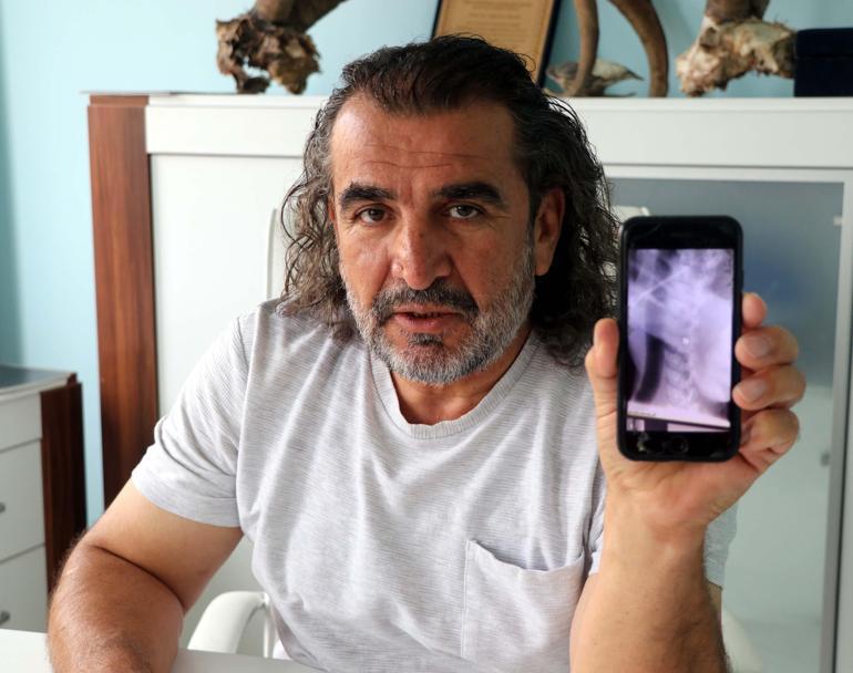 Hakkaride bulunan ayı düşen kaya parçalarıyla değil, ateşli silahla yaralanmış