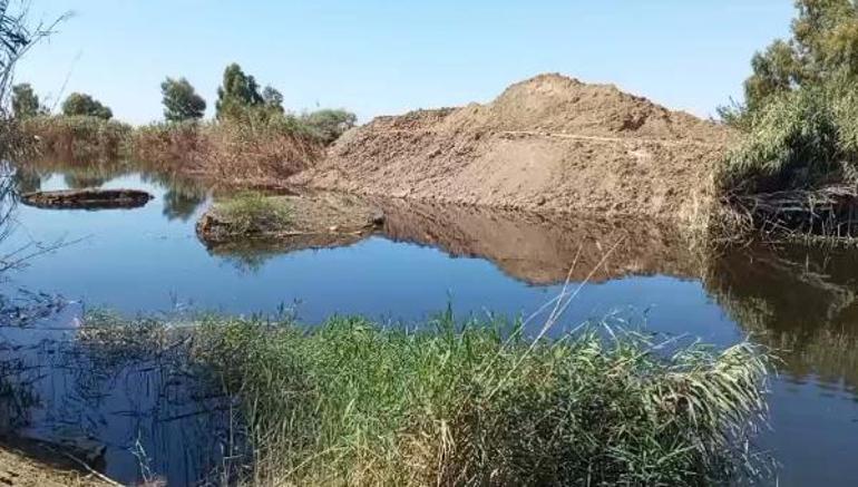 Büyük Menderes Havzası tahliye kanalında toplu balık ölümleri