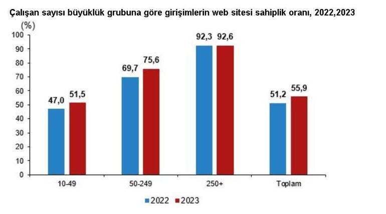 TÜİK: İnternet erişimine sahip girişimlerin oranı yüzde 96