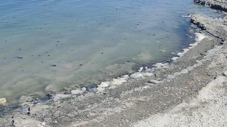 Burdur Gölü sahili morardı