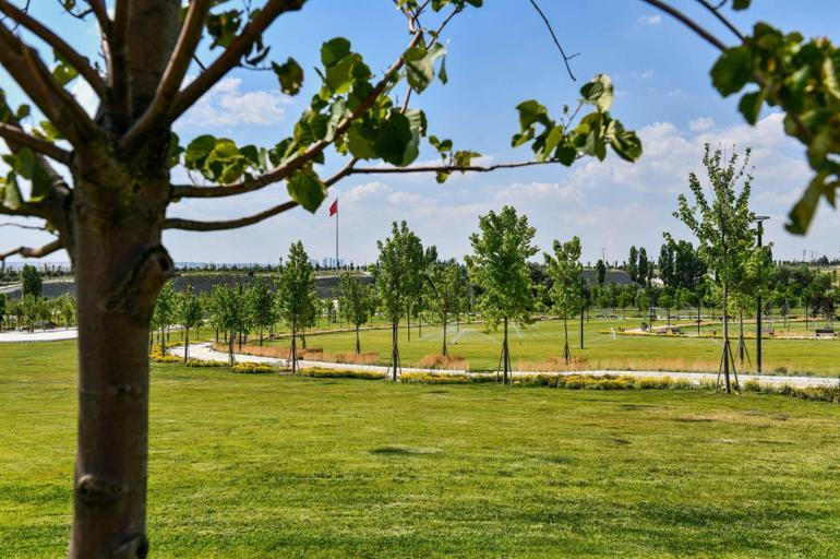 Ankaraya dev Tarım Kampüsü ve Rekreasyon Alanı
