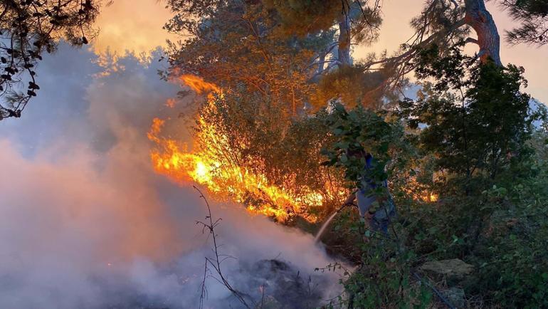 Çanakkale Orman Bölge Müdürü: Yanan alanlara 1 milyon 500 bin fidan dikeceğiz