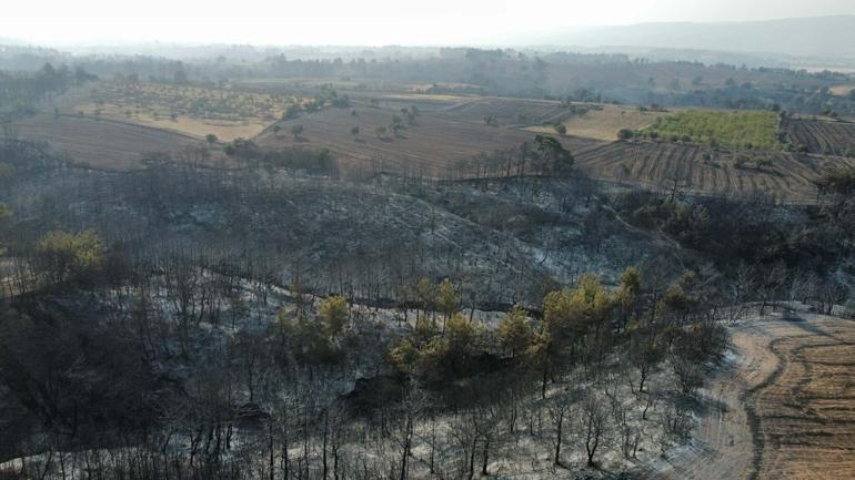 Çanakkale Orman Bölge Müdürü: Yanan alanlara 1 milyon 500 bin fidan dikeceğiz