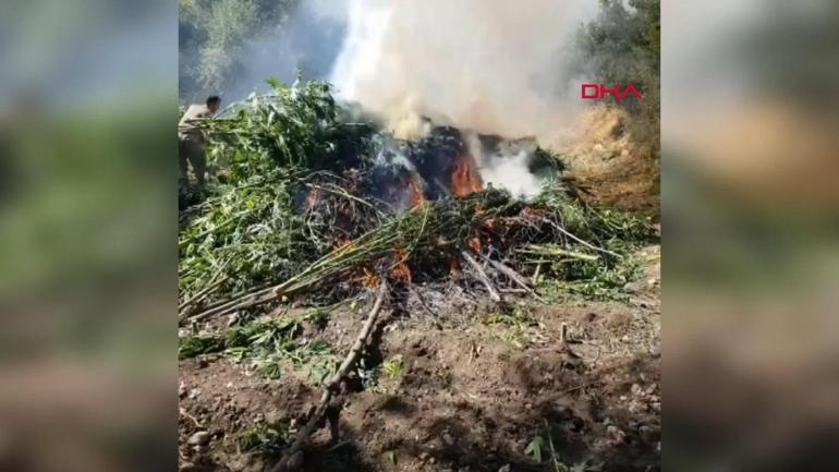 Bakan Yerlikaya: 10 ilde 265 zehir taciri yakalandı