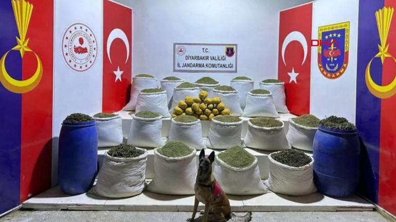 Bakan Yerlikaya: 10 ilde 265 zehir taciri yakalandı