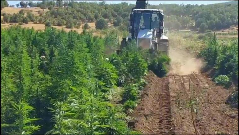 Bakan Yerlikaya: 10 ilde 265 zehir taciri yakalandı