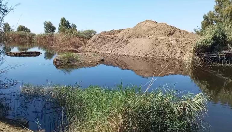 Büyük Menderes Havzası tahliye kanalındaki balıklar oksijensizlikten ölmüş