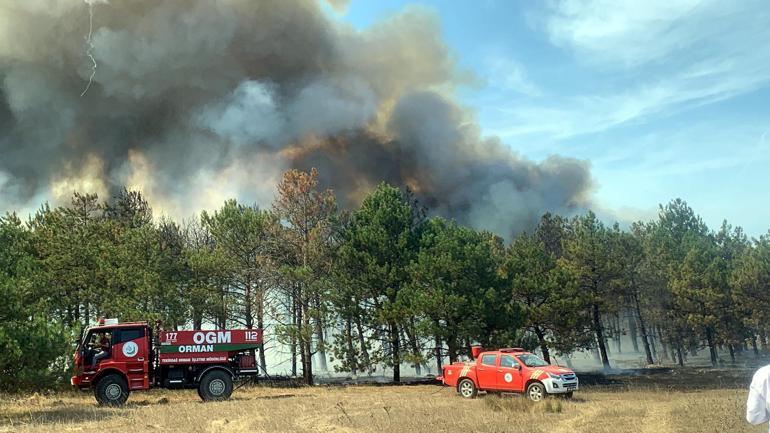 Çerkezköyde orman yangını kontrol altında
