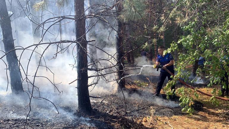Çerkezköyde orman yangını kontrol altında