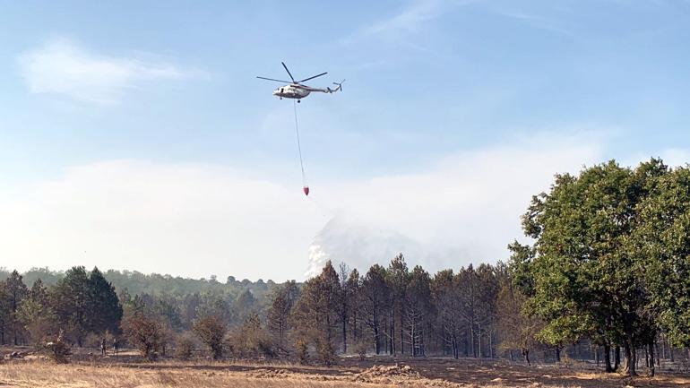 Çerkezköyde orman yangını kontrol altında
